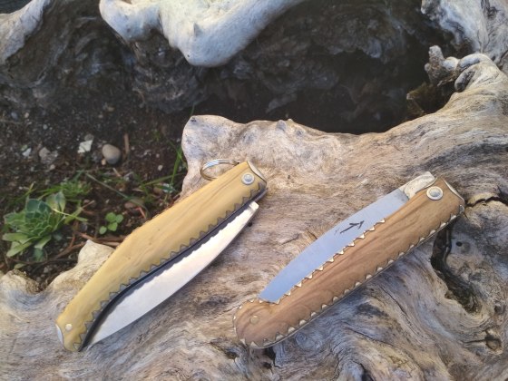 IMG_20181113_122814(1)